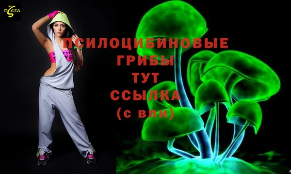 дурь Майский