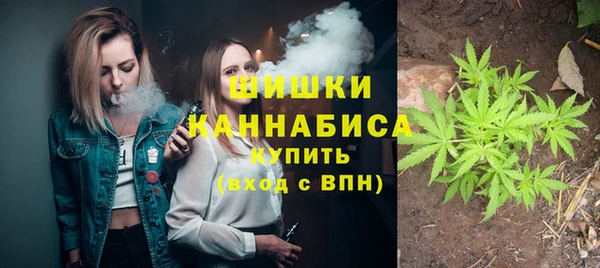 ECSTASY Лиски