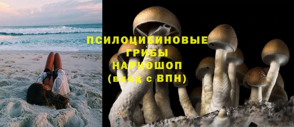прущая мука Билибино
