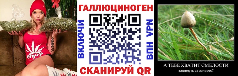 Галлюциногенные грибы мухоморы  Усть-Кут 